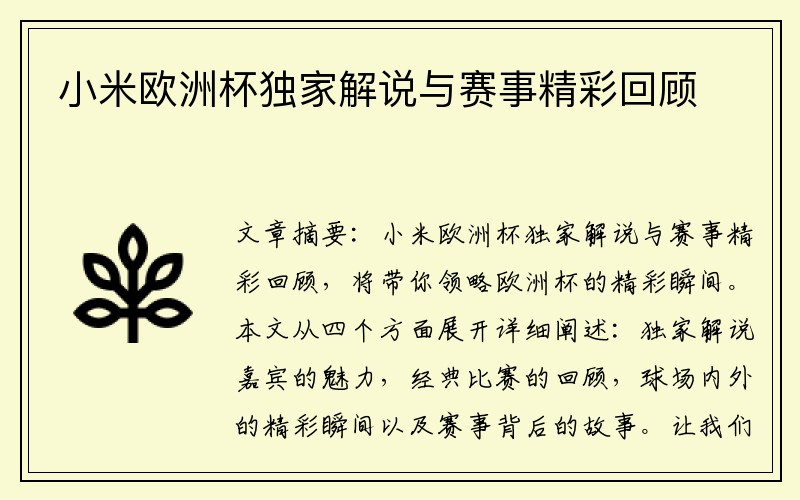 小米欧洲杯独家解说与赛事精彩回顾